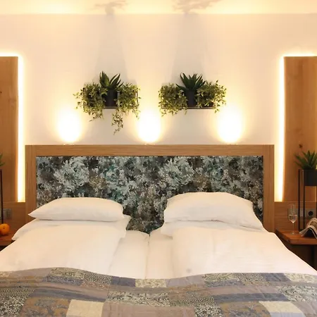 Altstadt-hotel 4* 파사우