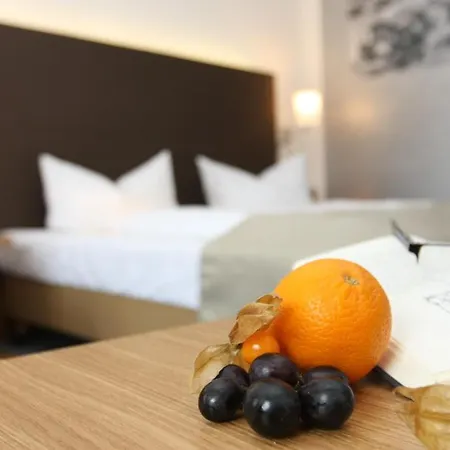 Altstadt-hotel 호텔 4*